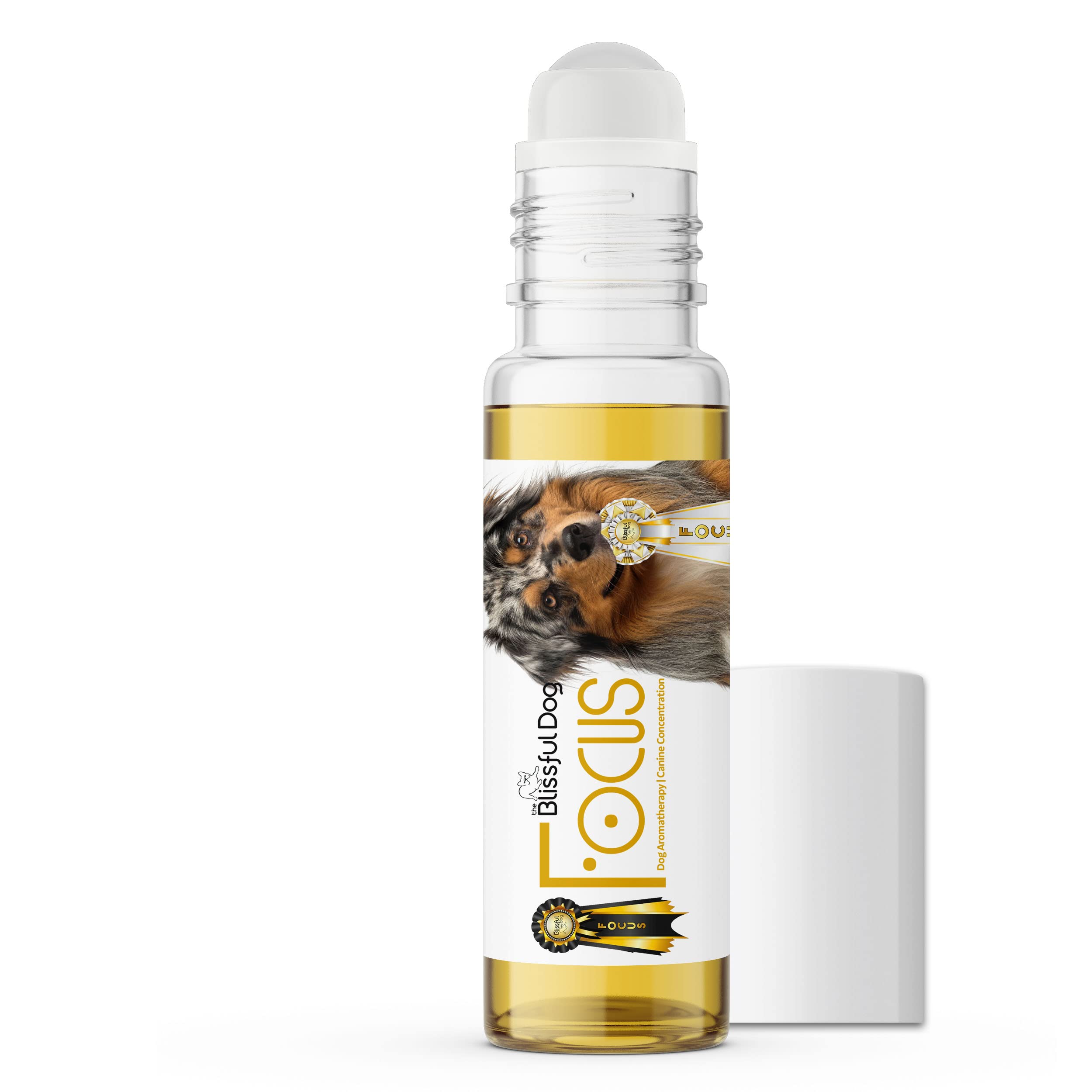 The Blissful Dog Australian Shepherd Focus Aromatherapy Oil - Improve Canine Concentration & Calmness | Perfect for Training, Anxiety Relief & Relaxation