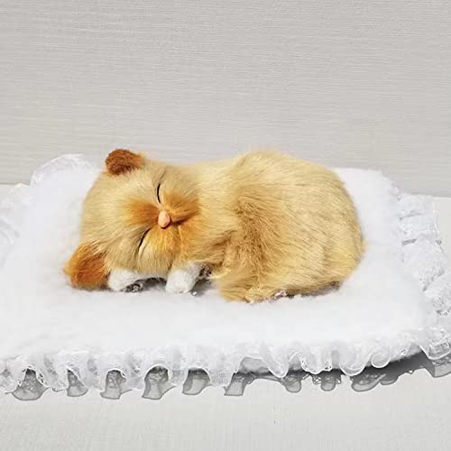 Siamese Cat-2