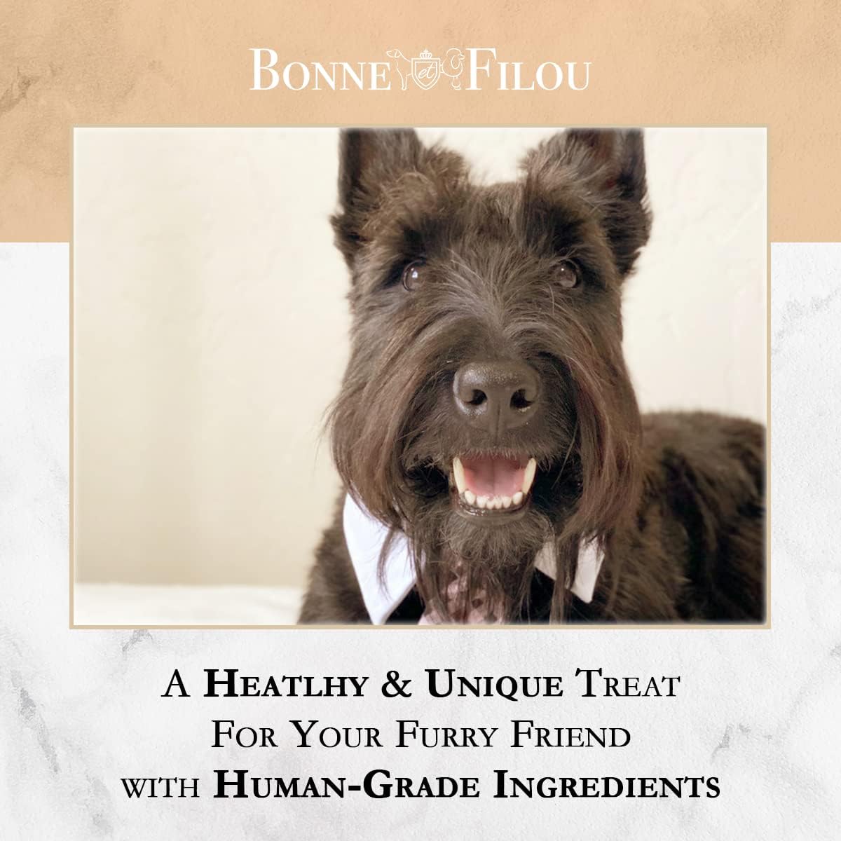 Bonne et Filou Gourmet Peanut Butter Cupcakes for Dogs – Healthy & Delicious Human-Grade Dog Treats – 6 Pack – Perfect for Training Rewards & Special Occasions