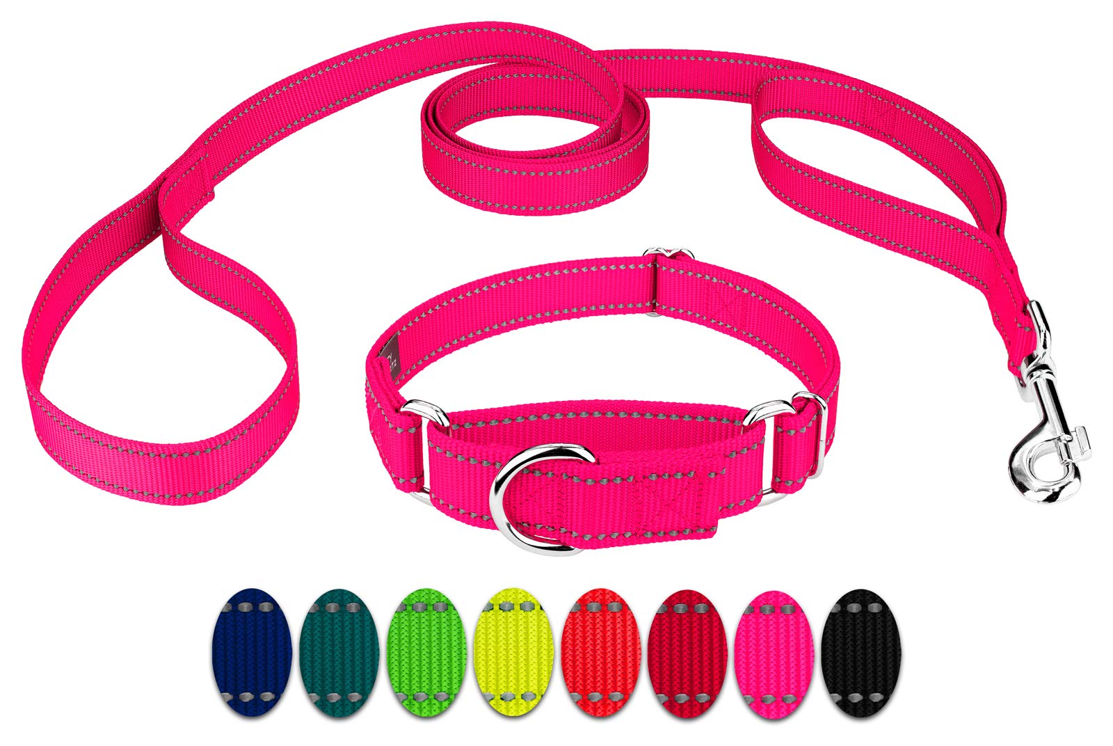 Country Brook Petz - Reflective Nylon Martingale Dog Collar with Double Handle Leash for Small to Large Dogs - Safe Night Walking & Training Accessories for Pets