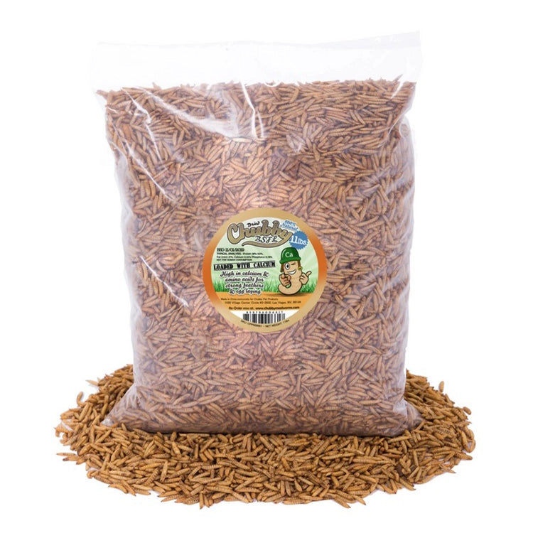 Premium Chubby Dried Black Soldier Fly Larvae - High Protein Pet Food for Chickens, Reptiles & Birds - 11 lb Bulk Bag - Natural Treat for Backyard Poultry, Wild Birds & Exotic Pets