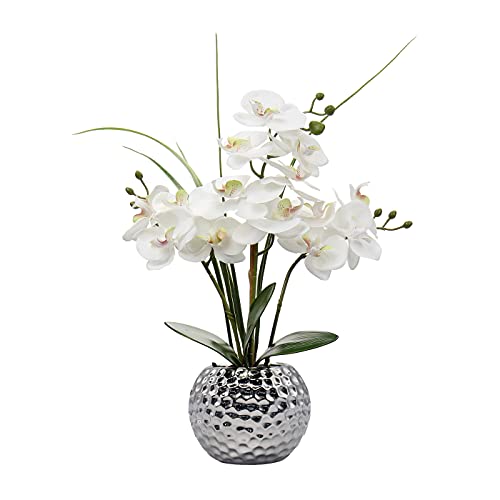 White Orchid and Silver Round Pot