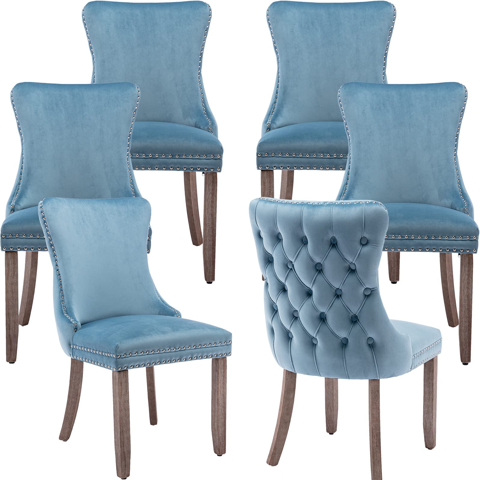 Premium Blue Velvet Dining Chairs Set of 6 - Tufted Backrest, Solid Wood Frame, Luxurious Velvet Upholstery - Perfect for Kitchen, Dining Room, Breakfast Nook & Home Decor (Light Blue, 6 Pieces)