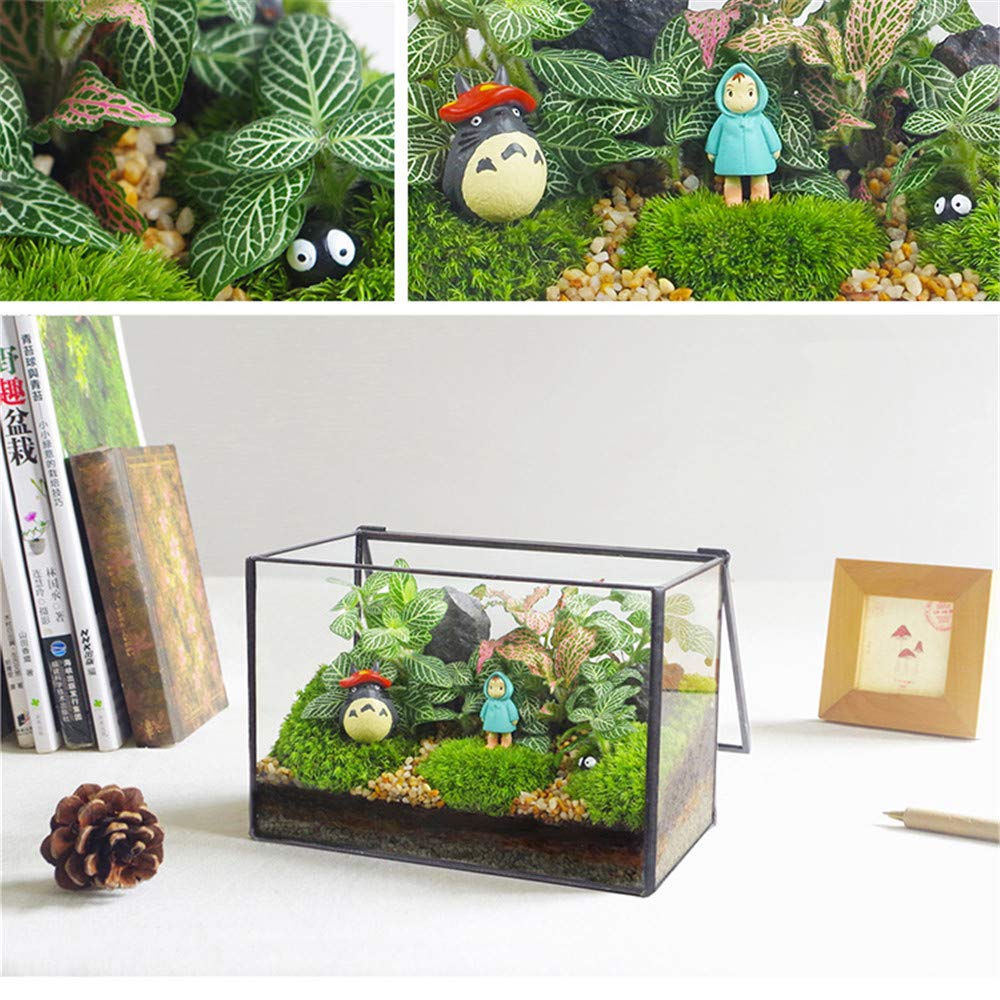 Modern Geometric Glass Terrarium with Lid - 8.3