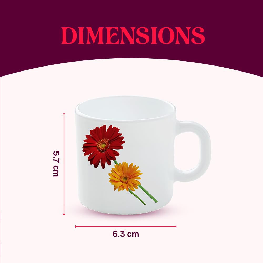 BOROSIL Zinnia Opalware Tea & Coffee Mugs Set of 6 (100ml Each) - Microwave & Dishwasher Safe, Bone-Ash Free - Elegant White Crockery for Daily Use, Gifts, Home, Office & Restaurants