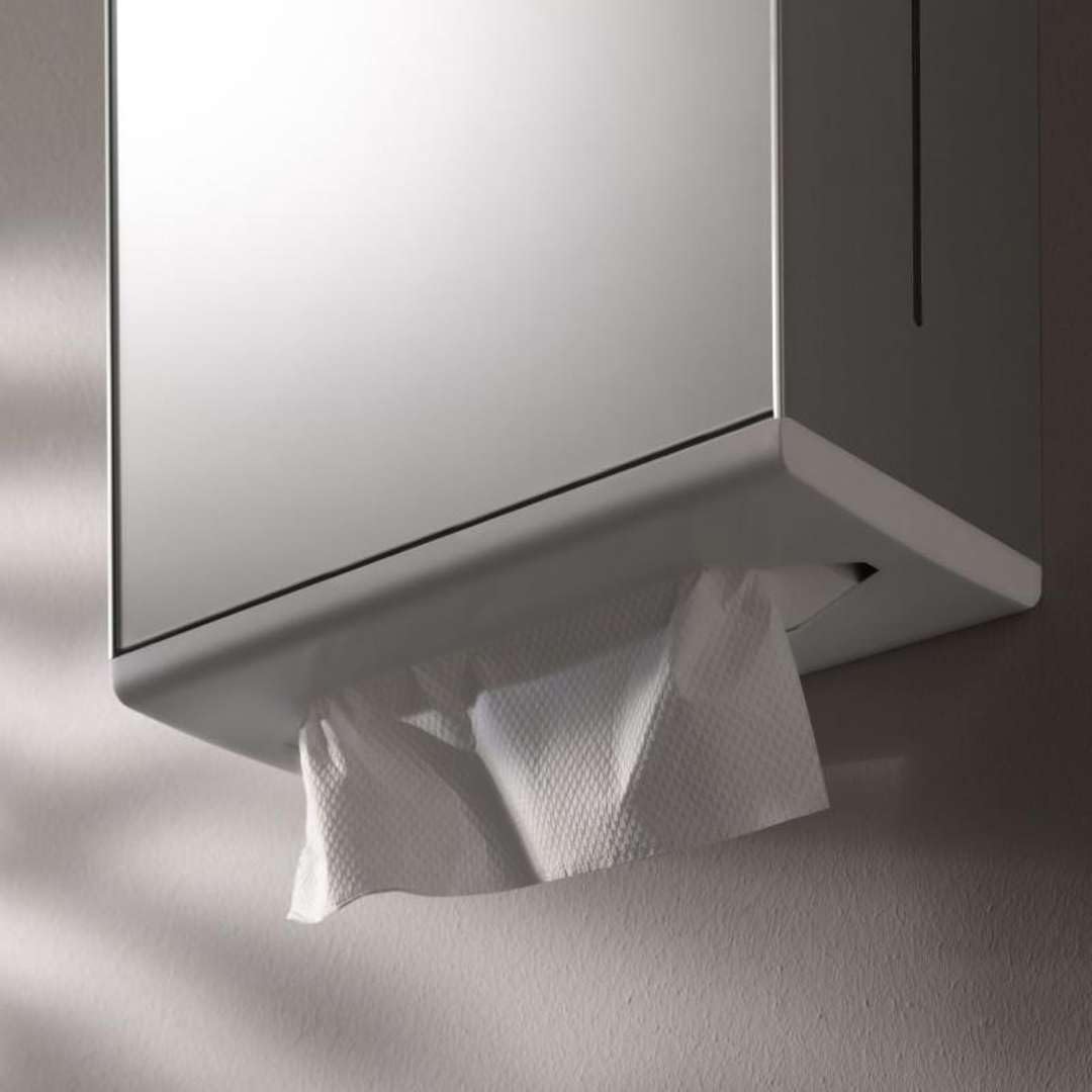 Moll Paper Towel Dispenser - Wall Mounted Stainless Steel for Kitchen, Bathroom & Office | Durable & Hygienic Hand Towel Holder for Home & Commercial Use