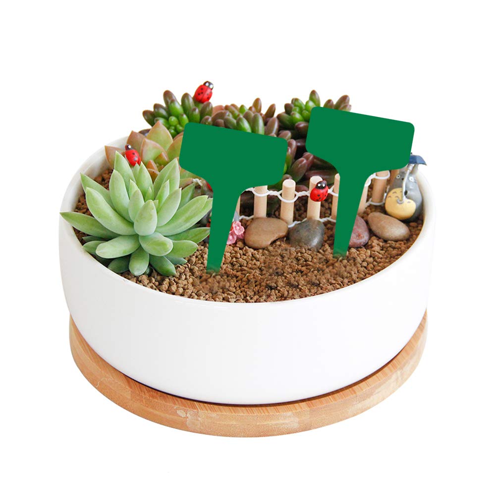 NUZYZ 24Pcs Clear Plastic Flower Pots with Drainage Holes - Indoor Plant Containers with Saucers & Labels - Perfect for Home Gardening, Office Decor, and Gift Giving