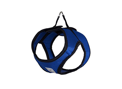Cobalt