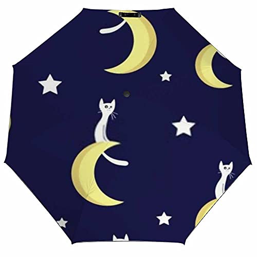 Cats Moons Stars