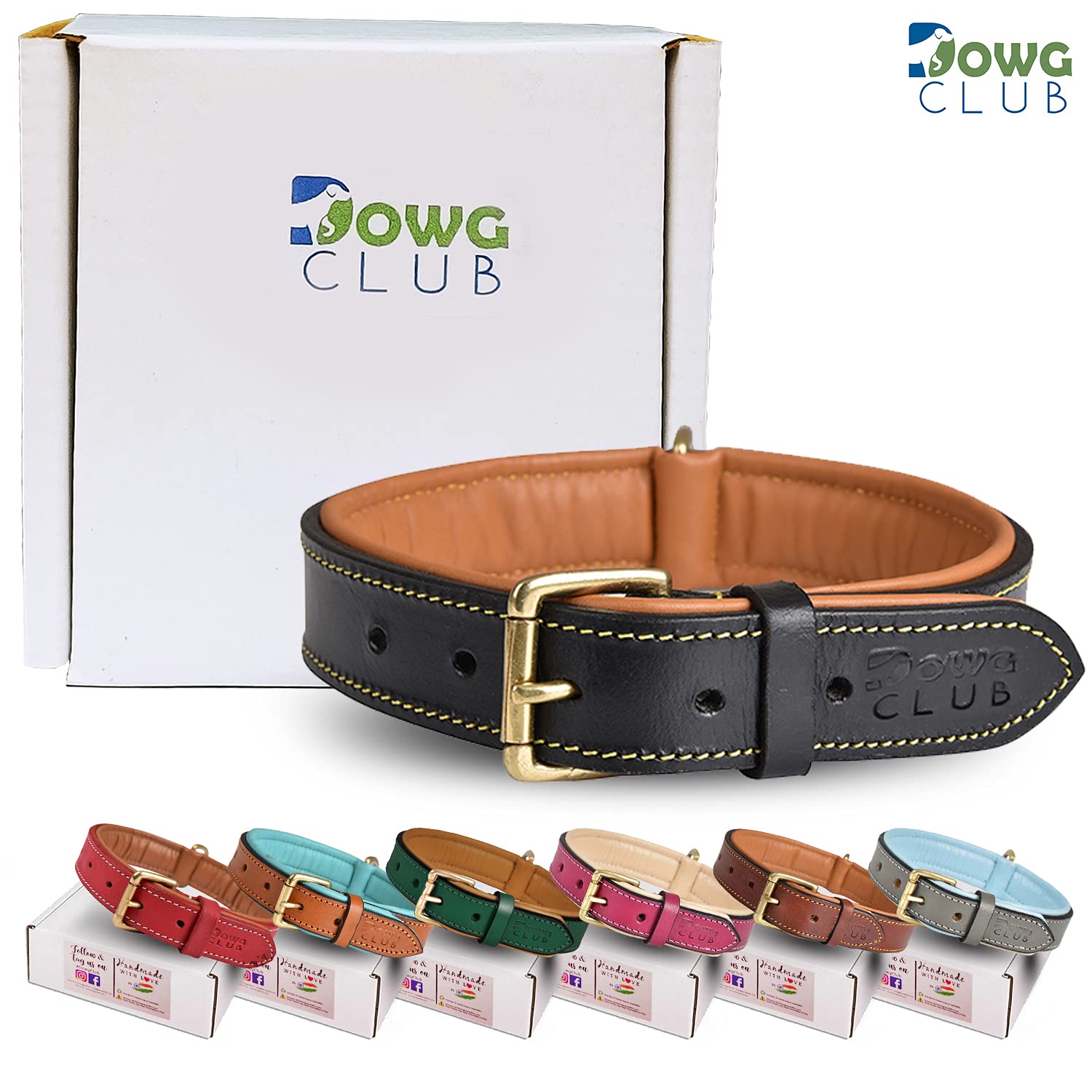 Premium Genuine Full Grain Leather Dog Collar for Medium Dogs - 1 Inch Wide, Heavy Duty with Soft Inner Padding - Comfortable & Durable (14.5