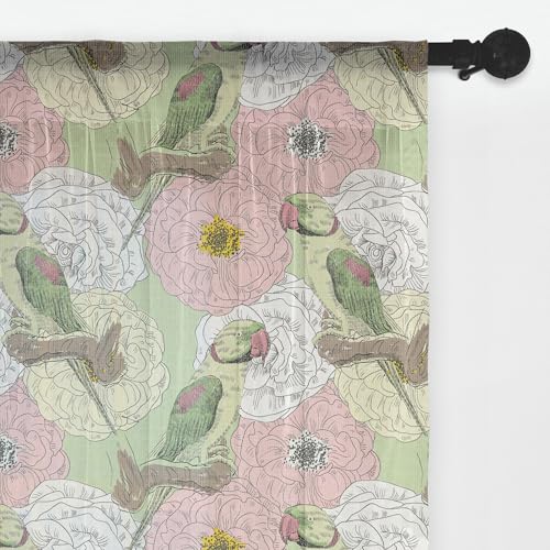 Pale Green and Multicolor