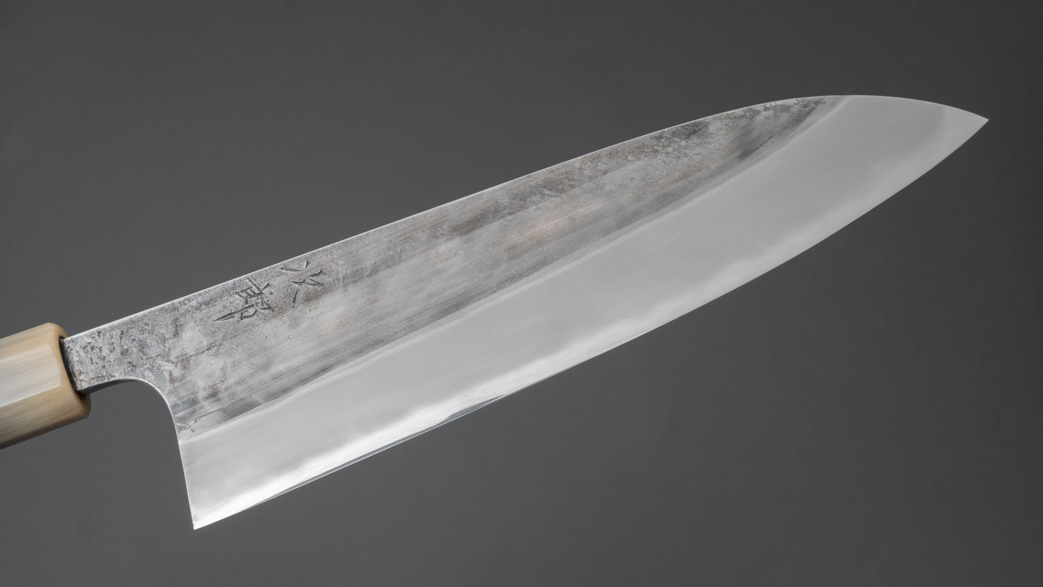 Premium Jiro Tsuchime Wa Gyuto 225mm Japanese Chef Knife with Taihei Tagayasan Handle - Perfect for Sushi, Meat Cutting & Professional Kitchen Use (#544)