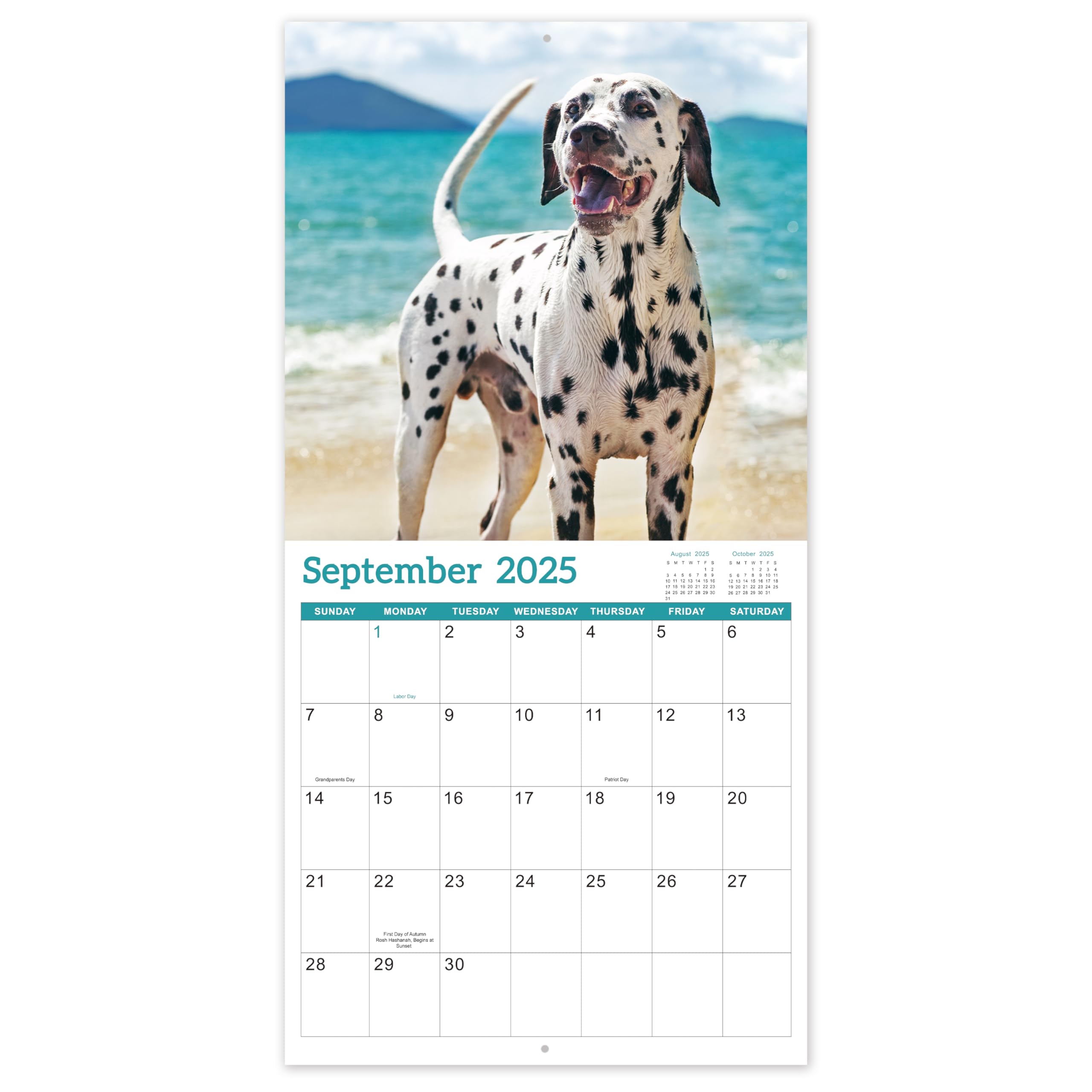 2025-2026 Wall Calendar - 18 Month Large Monthly Planner from July 2025 to December 2026, 12x24 Inches Open Format with Blank Date Boxes, Funny Office & Home Decor Gift for Coworkers, Friends & Family - Perfect for Planning, Scheduling & Home Organization