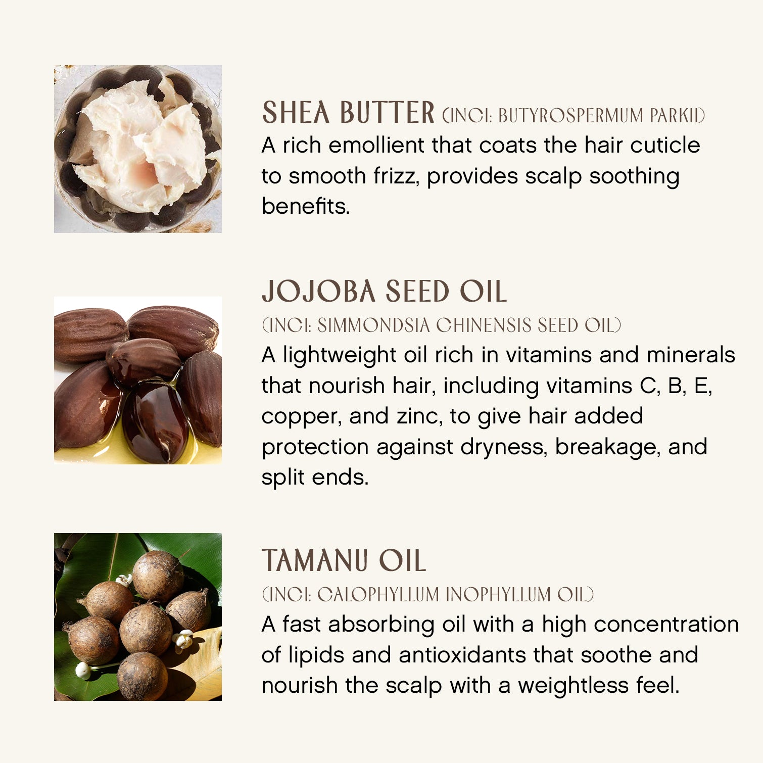 Best Hydrating Hair Mask for Dry & Damaged Hair - Deep Conditioning Treatment for Repair & Shine | At-Home Salon Care