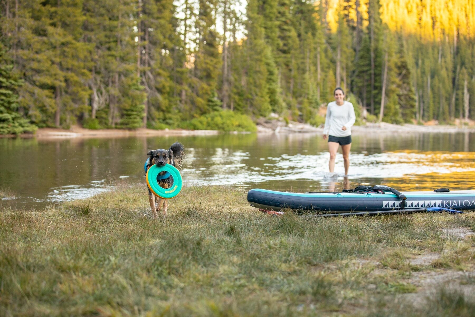 Hydro Plane™ Bioluminescent Blue Floating Dog Disc - Water Fetch Toy for Dogs - Ruffwear® - Perfect for Beach, Pool & Outdoor Play