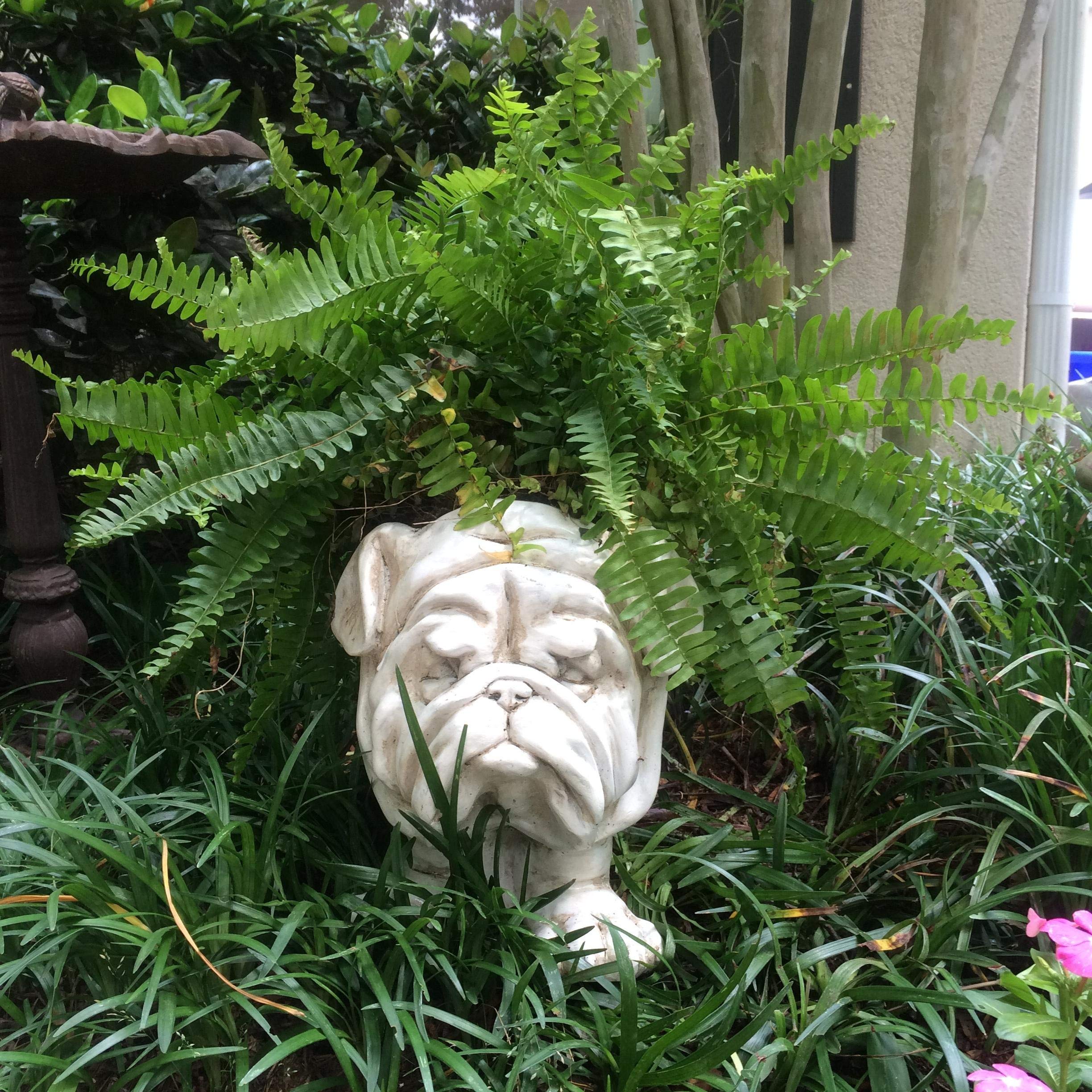 BOVTE FVLFIL 12-Inch Antique White Bulldog Statue Planter - Holds 5-Inch Pots, Cute Dog Mascot Decor for Home Garden, Patio & Office Desk | Perfect Gift for Dog Lovers & Plant Enthusiasts
