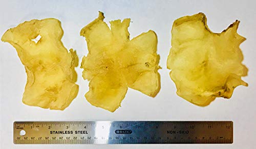 Premium Dried Large Butterfly Fish Maw - 16oz | High-Quality Fish Bladder for Soups, Stews & Chinese Cuisine | Rich in Collagen & Nutrients