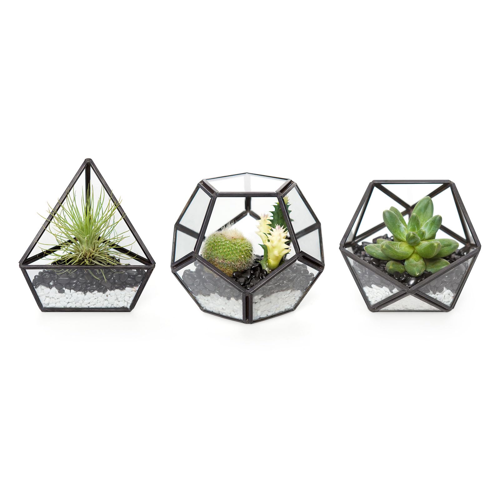 Modern 4-Inch Mini Glass Geometric Terrarium Set of 3 - Black Tabletop Planter for Succulents, Air Plants & Fairy Gardens | Home Office Decor, Wedding Centerpiece & Shelf Display (Plants Not Included)