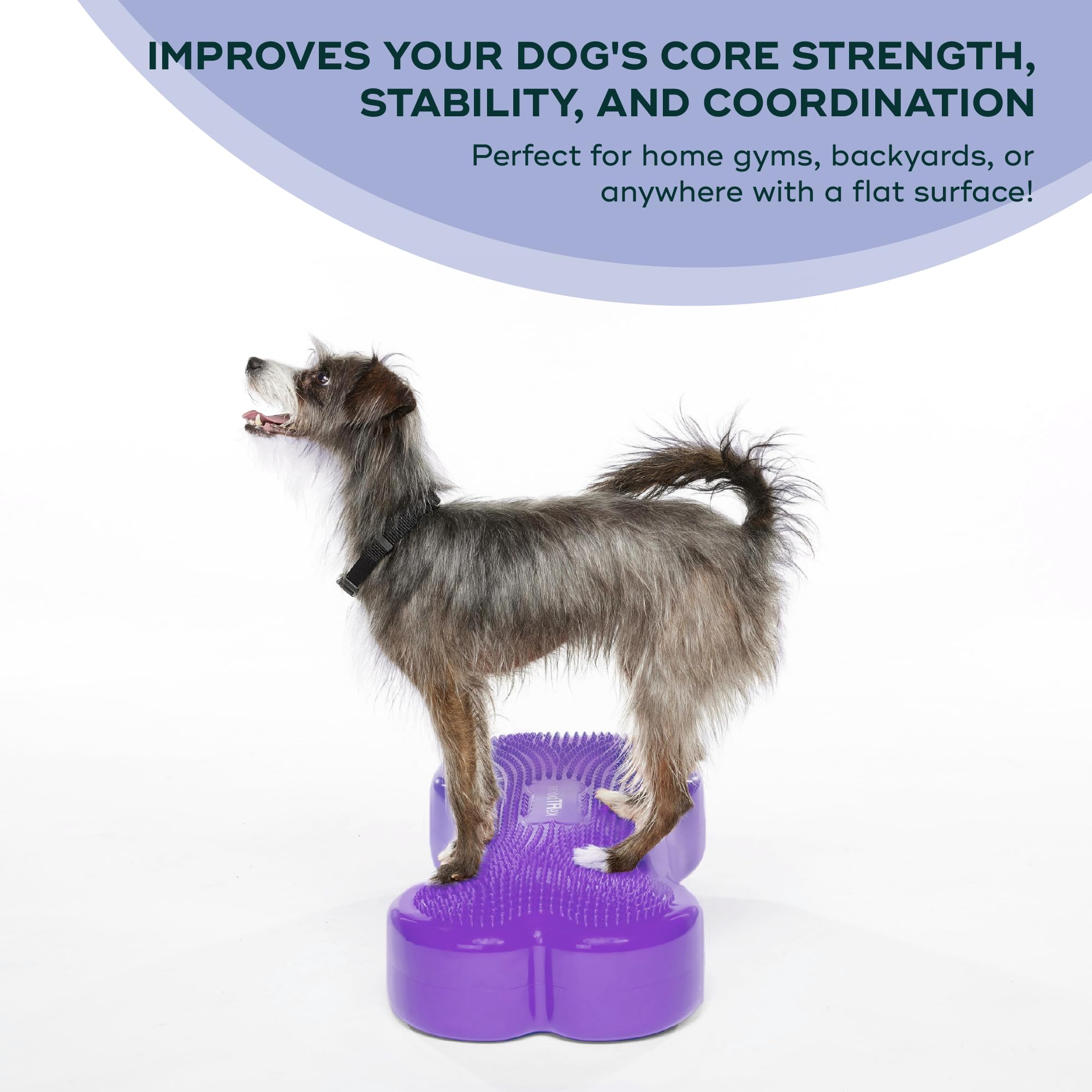 FitPAWS K9FITbone Regular Purple Dog Balance Training Platform - Core Strength & Stability Exercise Equipment for Canine Fitness - Perfect for Agility Training, Rehabilitation & Home Workouts