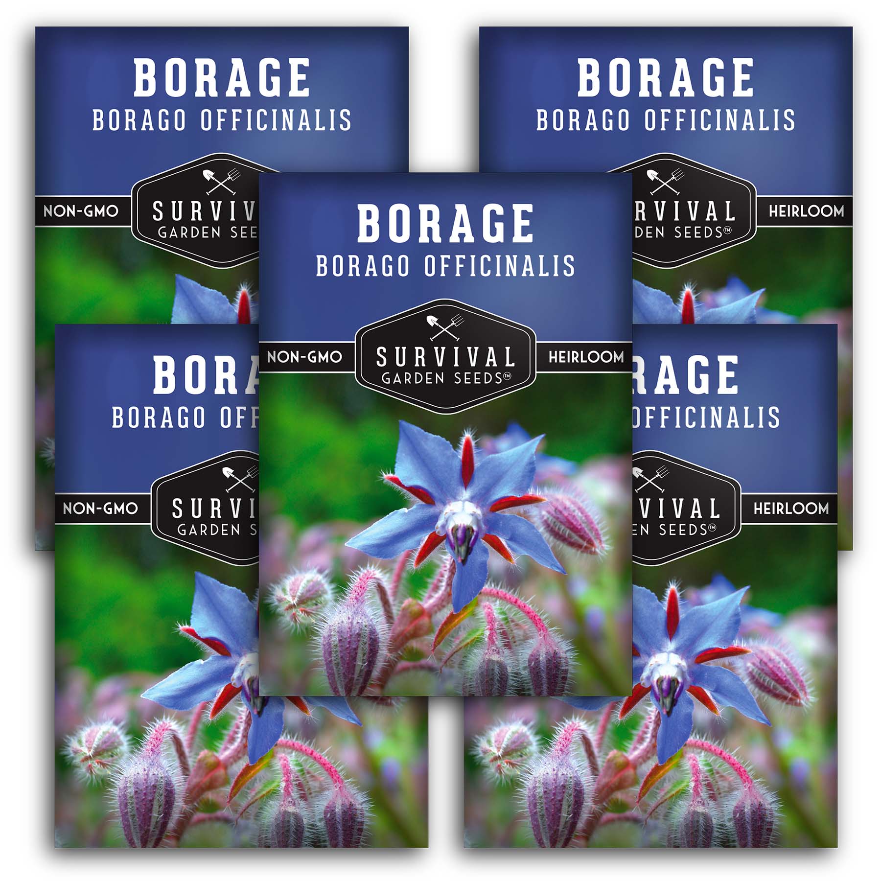 Organic Borage Seeds for Planting - Non-GMO, Heirloom Herb Seeds for Garden, Kitchen & Medicinal Use - Perfect for Teas, Salads, and Pollinator Gardens