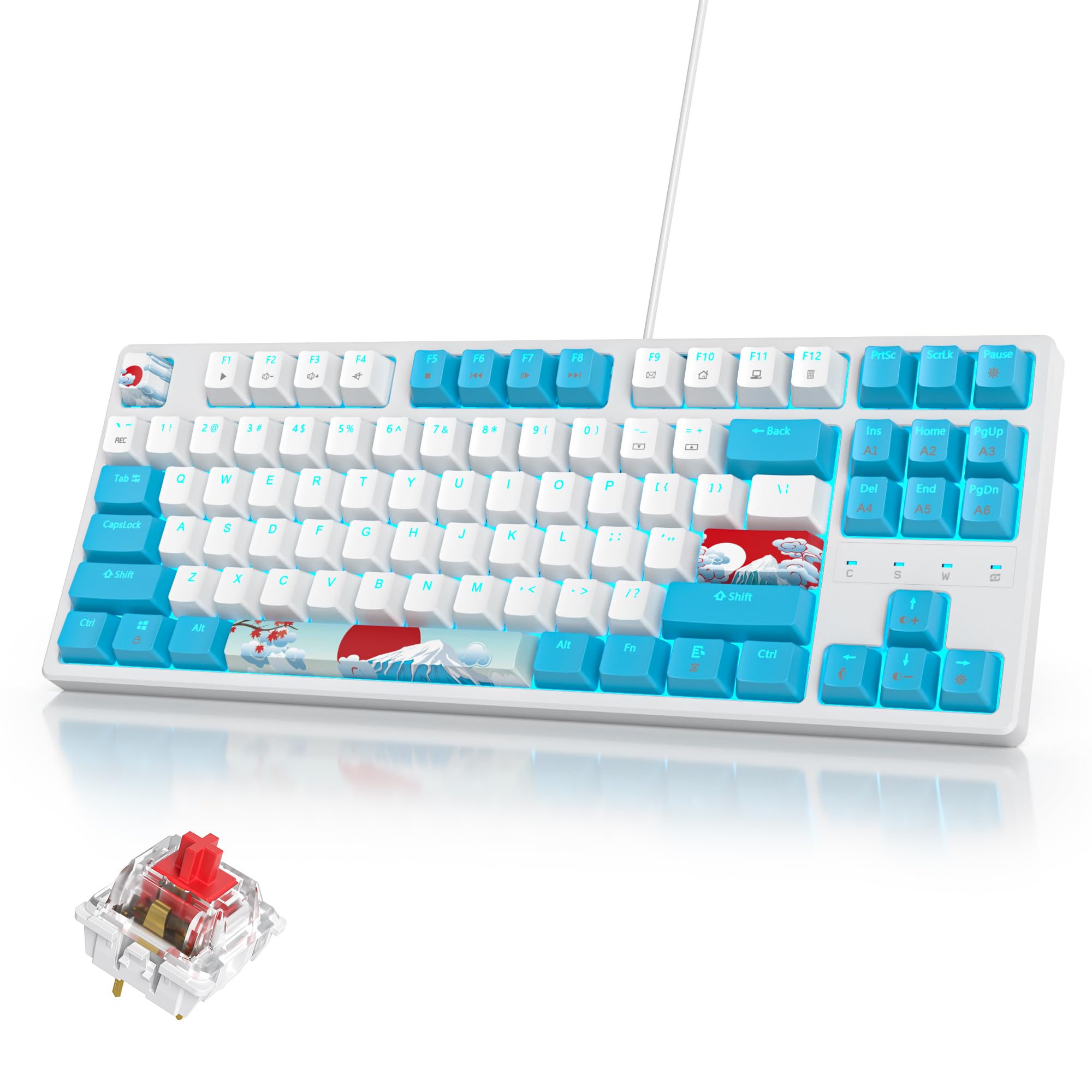 SOLIDEE 87-Key RGB Mechanical Gaming Keyboard - Compact, Portable for PC/Mac - Perfect for Office & Gaming