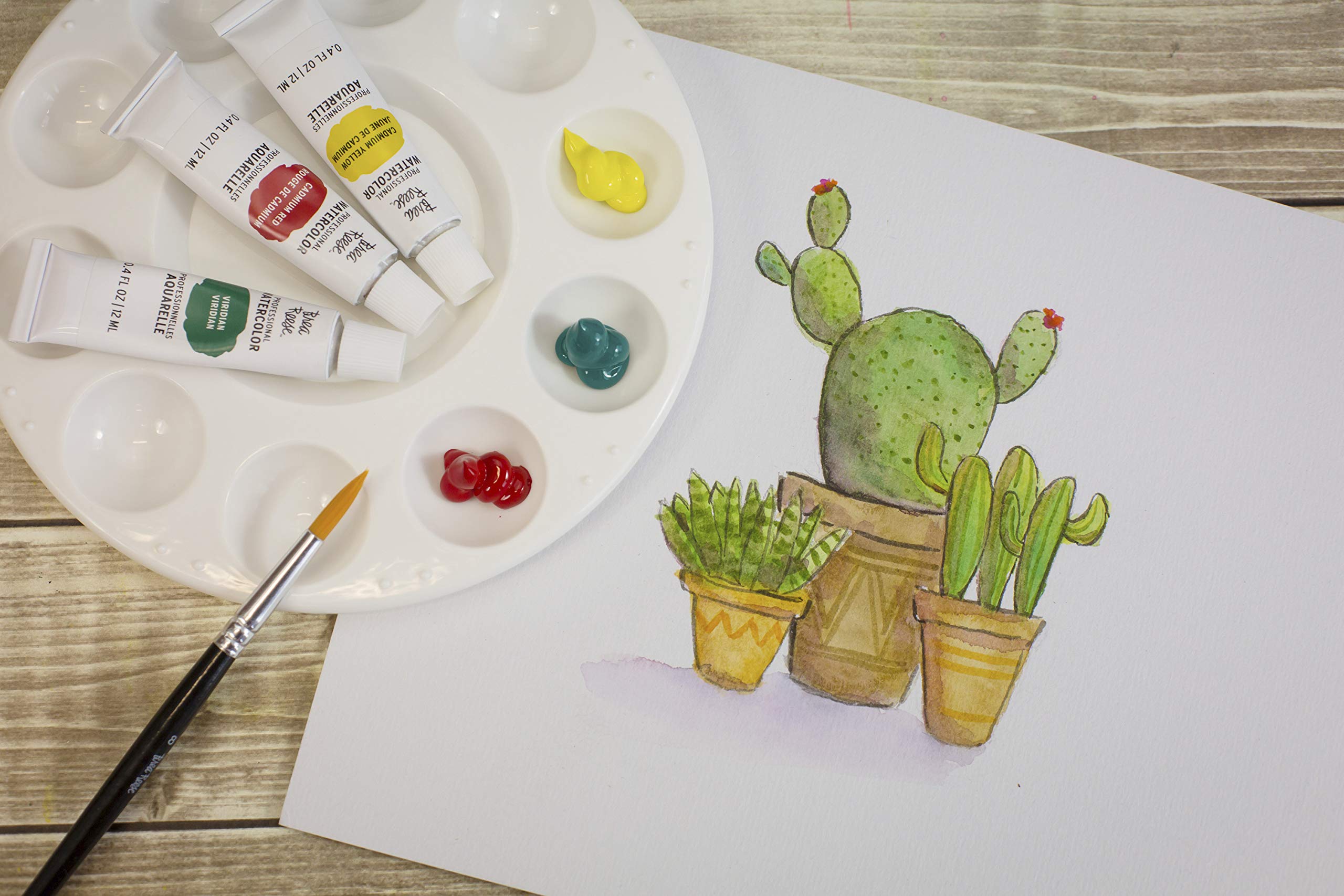 Brea Reese 21-Piece Watercolor Paint Art Kit - Professional Brushes, Vibrant Paints & Essential Tools for Artists - Perfect for Beginners, Students & DIY Craft Projects