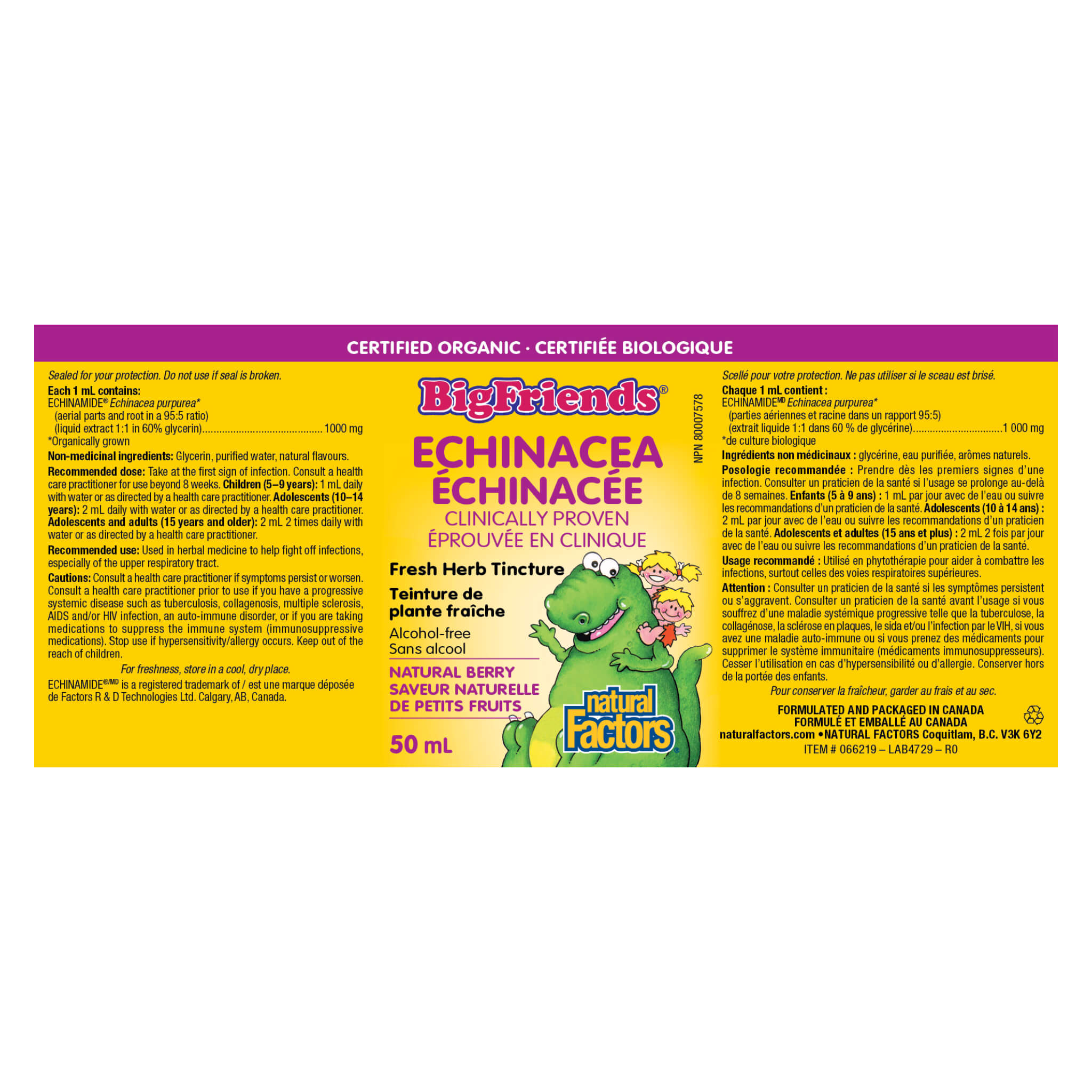 Big Friends Echinacea Alcohol-Free Herbal Tincture - Immune Support Supplement for Adults & Kids - Perfect for Cold & Flu Season Wellness