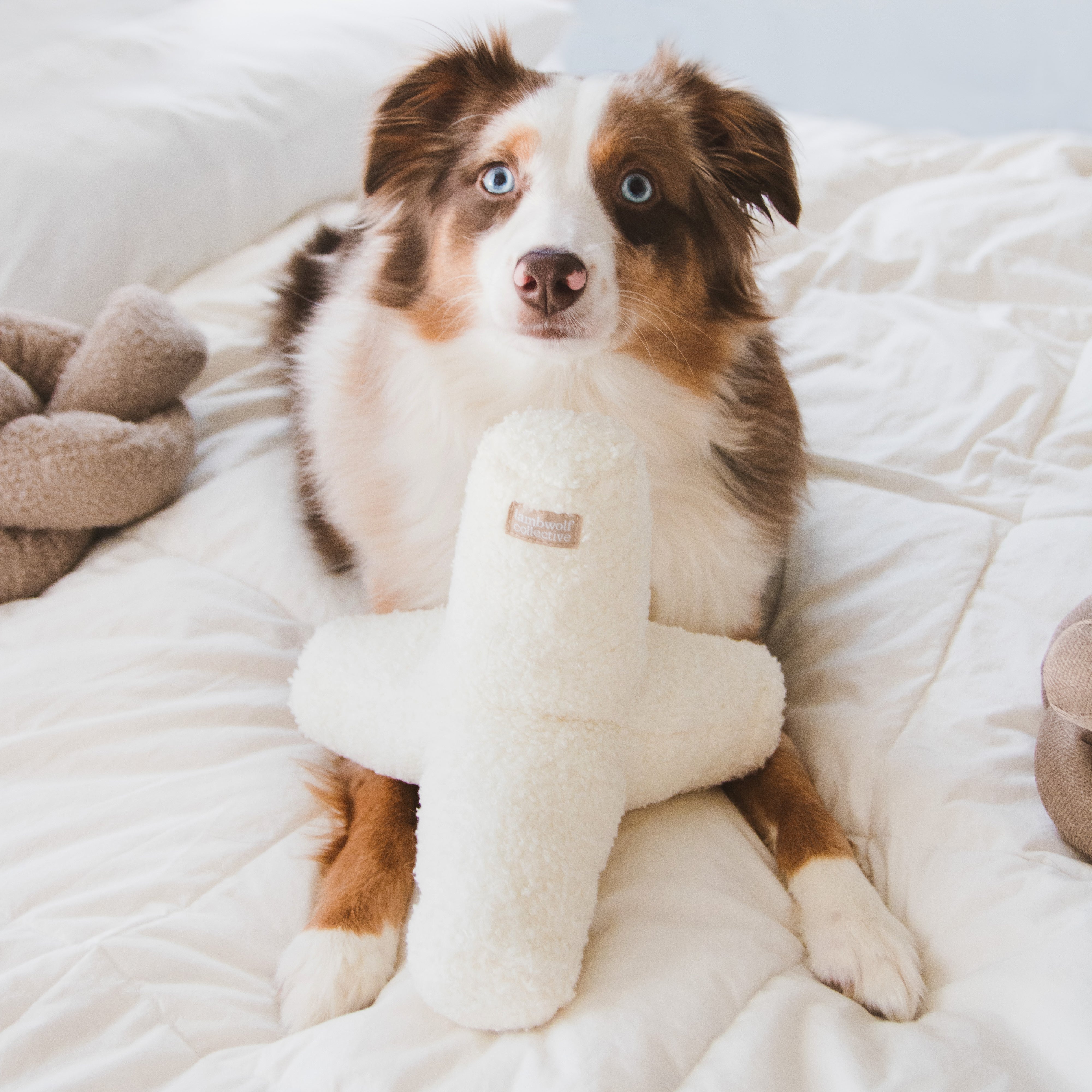 O Breuer - Premium Quality Products for Your Everyday Needs | Perfect for Home, Office & Gifting