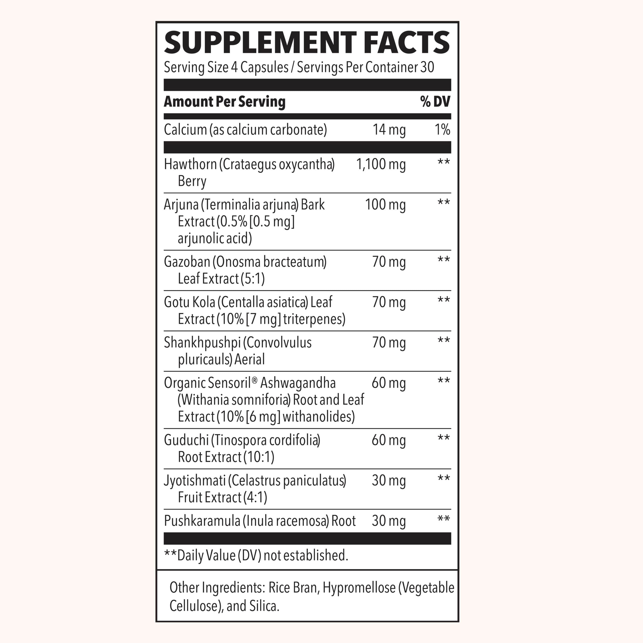 LifeSeasons B/P Stabili T Supplement - Supports Healthy Blood Pressure & Circulation - Natural Herbal Formula for Cardiovascular Wellness - Perfect for Daily Use at Home or Work