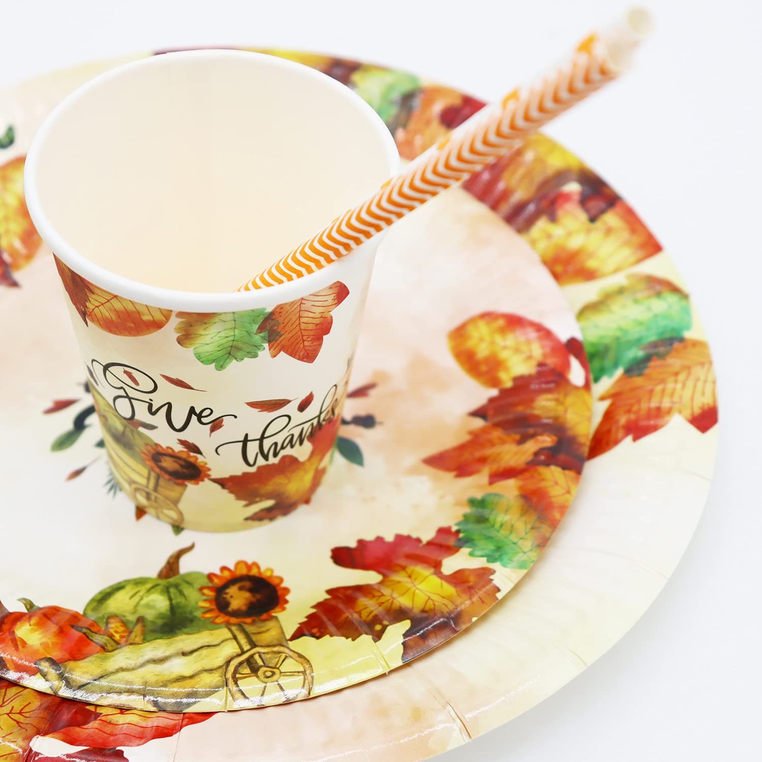 Thanksgiving Paper Plates Set for 24 Guests - 9