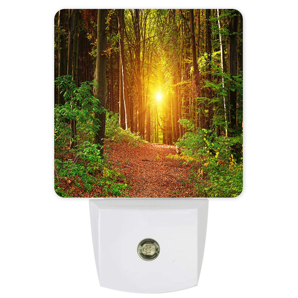 Smart LED Night Light with Auto Sensor - Dimmable Sunset Forest Scene Plug-in Light for Nursery, Bathroom & Bedroom | Energy-Efficient Dusk-to-Dawn Lighting for Kids Rooms, Hallways & Staircases