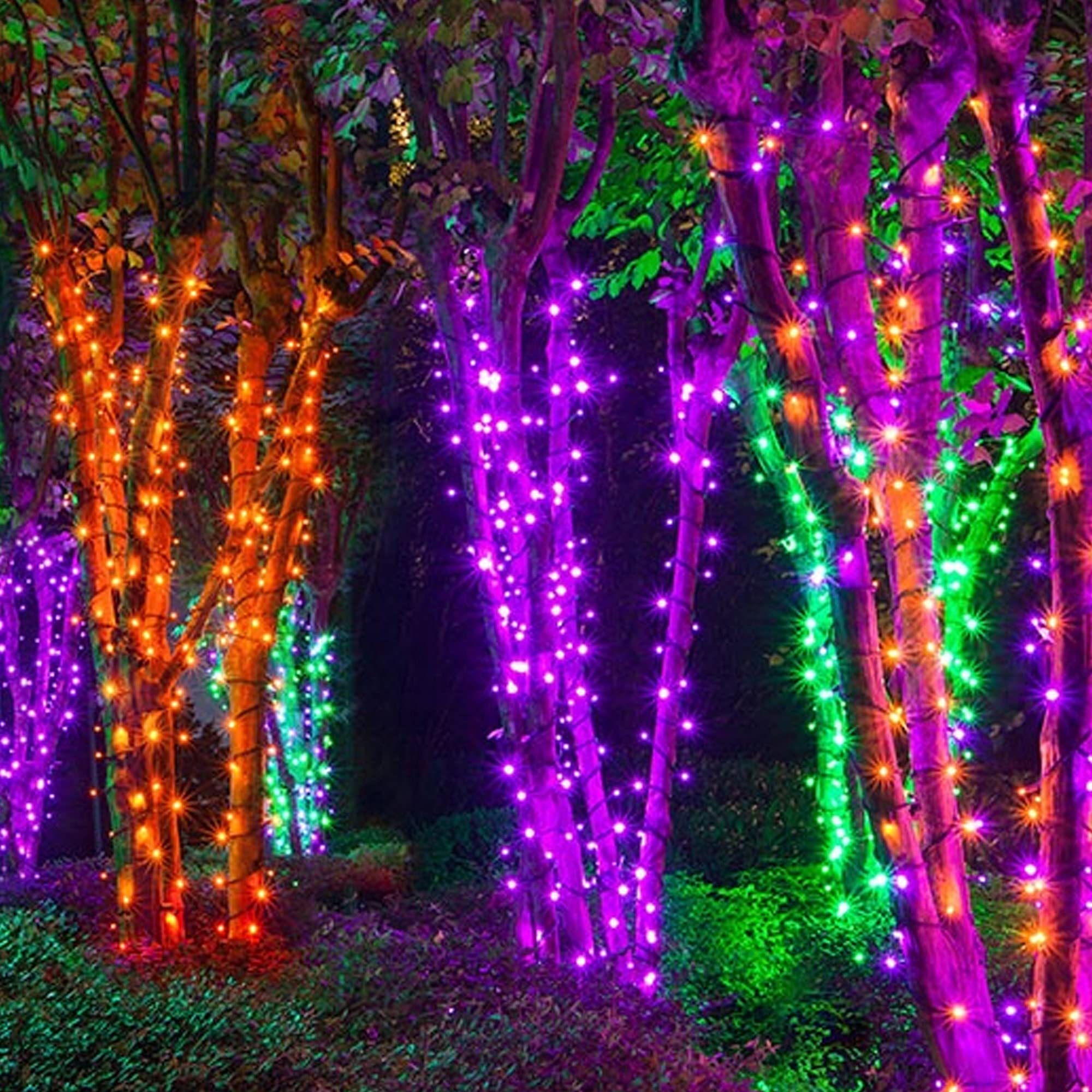 DAZZLE BRIGHT 300 LED Halloween String Lights - 100FT Connectable Outdoor/Indoor Fairy Lights with 8 Lighting Modes | Waterproof Purple Party Decor for Halloween, Garden, Yard, Carnival & Home Decoration - Perfect for Patio, Christmas, Weddings & Special Events