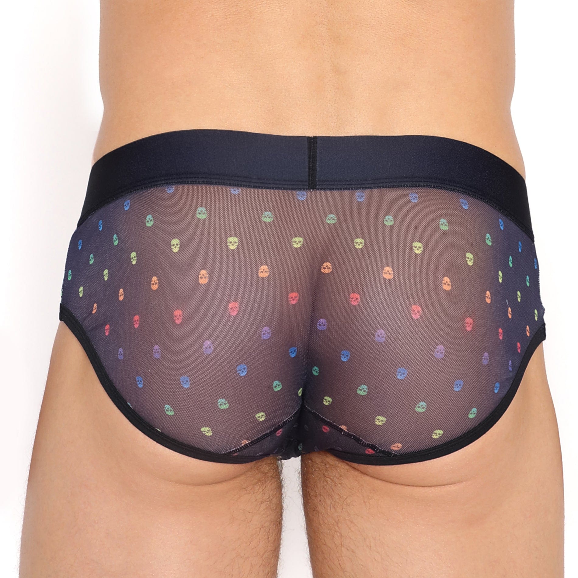 Pride Ditsy Skull Black Sheer Mesh Brief - Gothic Lingerie for Women, Comfortable Underwear for Daily Wear or Special Occasions