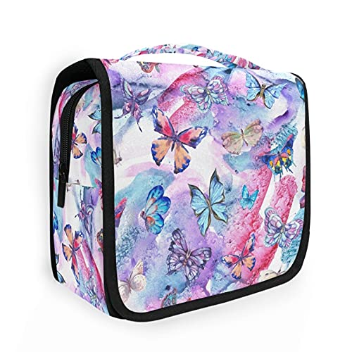 Butterfly 11b