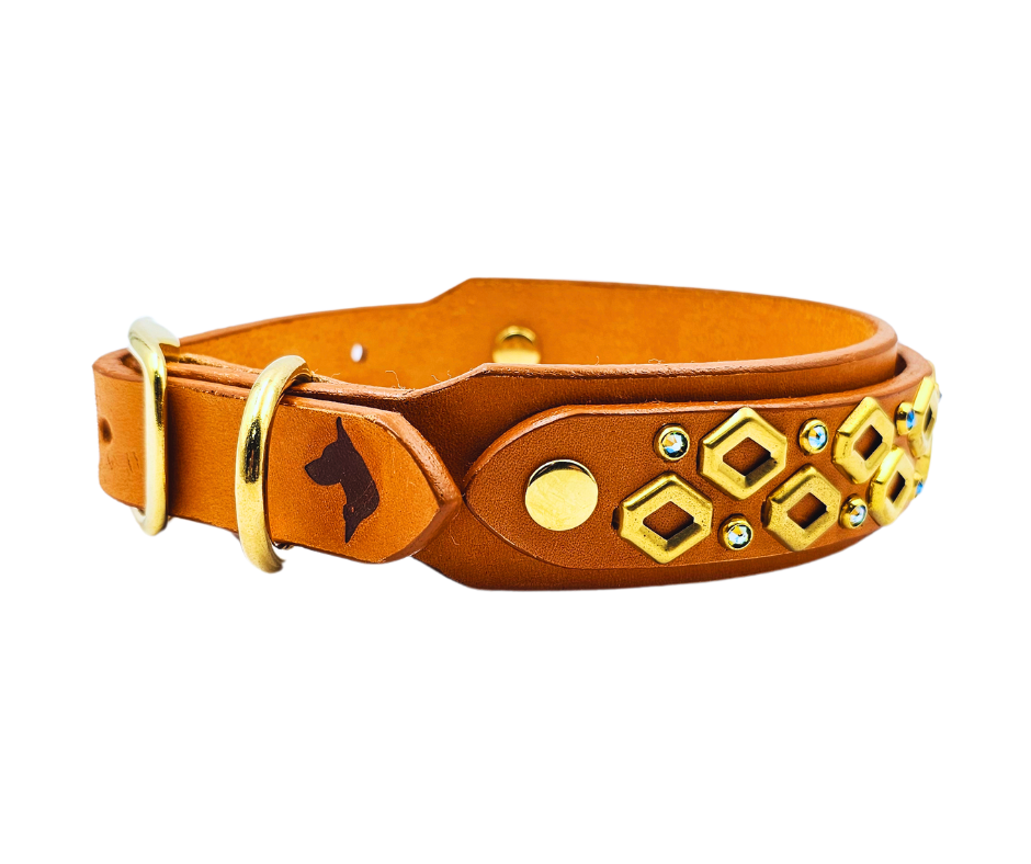The Fame Collar - Stylish & Adjustable Dog Collar for Small & Medium Dogs | Perfect for Daily Walks, Training & Fashion Accessories