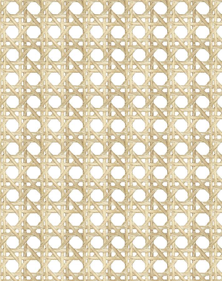 Wallshoppe Sesame Faux Large Caning Wallpaper - Peel and Stick Removable Wallpaper for Living Room, Bedroom, and Home Decor