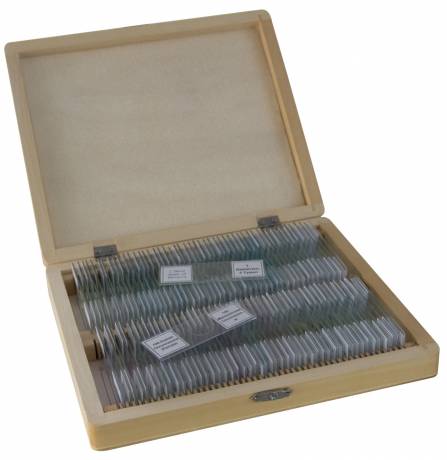 Bresser 100-Piece Prepared Microscope Slides Set for Kids & Students - 59 86003 - Perfect for Biology, Science Class & Home Learning