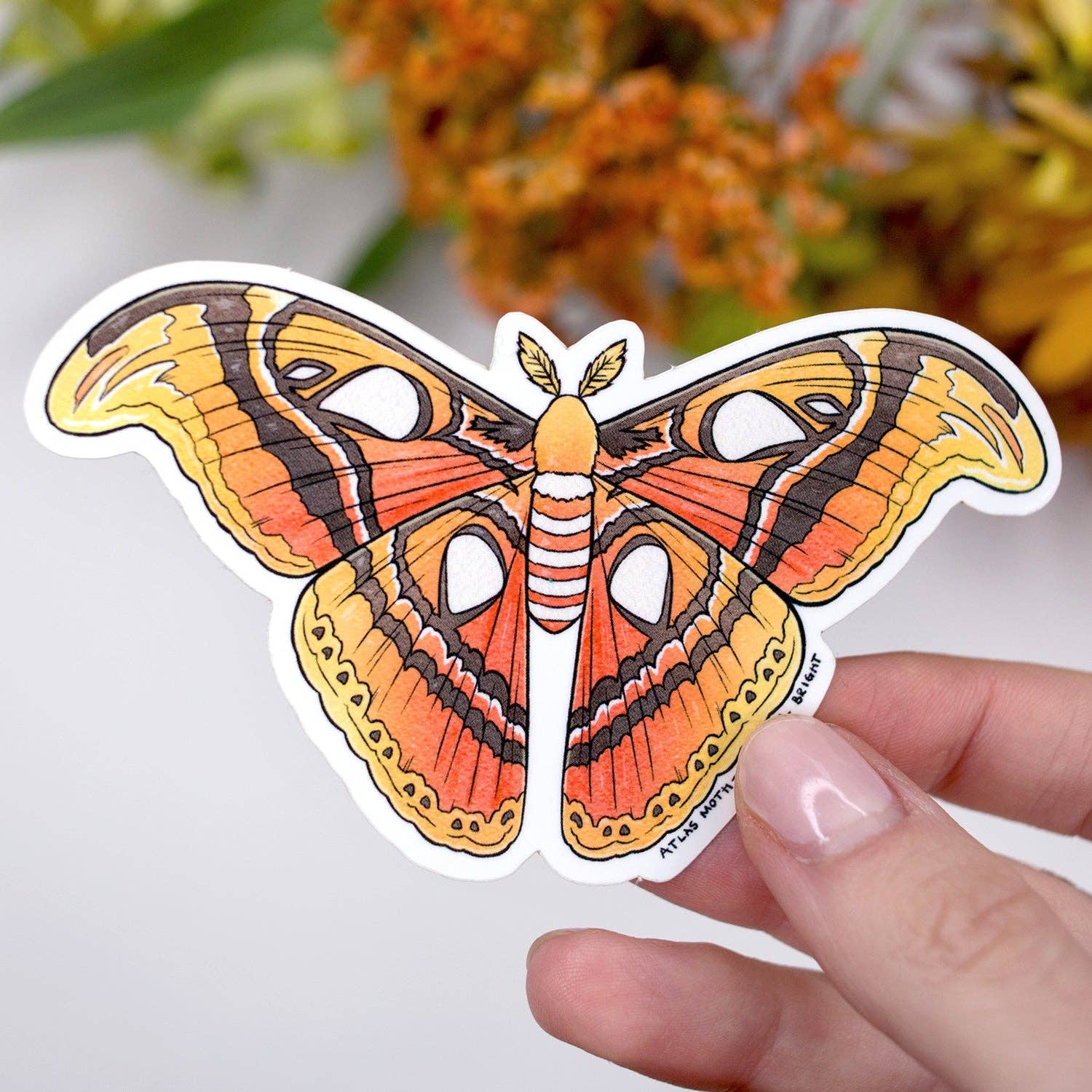 Atlas Moth Waterproof Vinyl Sticker - Decal for Laptops, Water Bottles & DIY Crafts - Unique Insect Art for Nature Lovers
