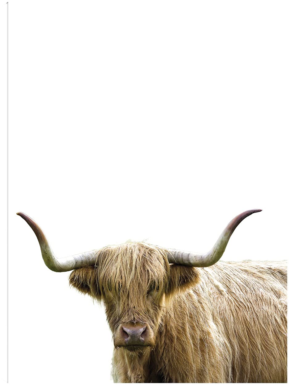 Bonny Bovine Fine Art Canvas Wall Decor by Assaf Frank - 42x56 Inches Ready to Hang - Perfect for Living Room, Bedroom, Office & More - Modern Farmhouse & Contemporary Home Decor