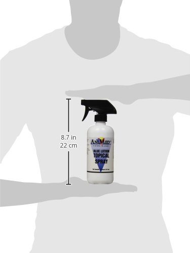 AniMed Blue Lotion Topical Antiseptic for Horses, Dogs, Cats, Cows, Sheep & Goats - 16 oz | Wound Care & Skin Treatment for Pets & Livestock | Ideal for Cuts, Scrapes & Minor Injuries