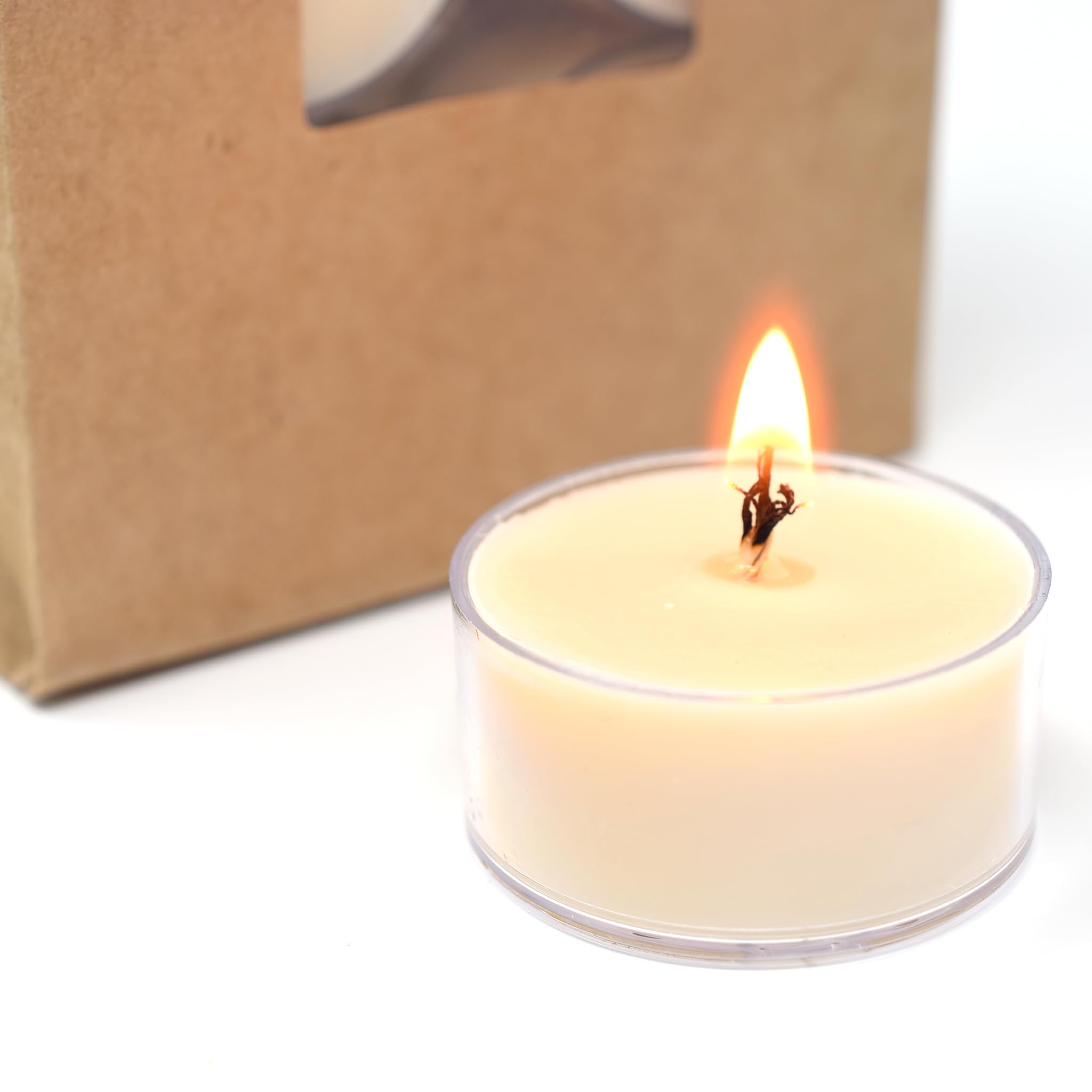 Winter Lodge Scented Tealight Candles - 12 Pack Soy Beeswax Blend Handmade in USA - Holiday Christmas Aromatherapy Candles for Home Decor, Relaxation & Gift Giving