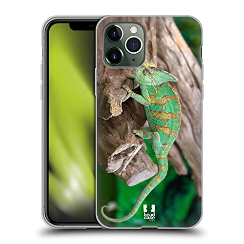 Chameleon