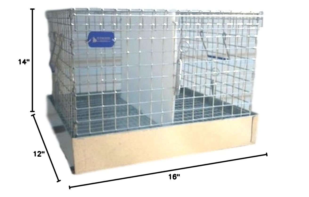 Rabbit Carrier Pet Travel Cage - 2 Hole Ventilation (14x16x12 Inches) for Small Animal Transport, Vet Visits & Outdoor Adventures