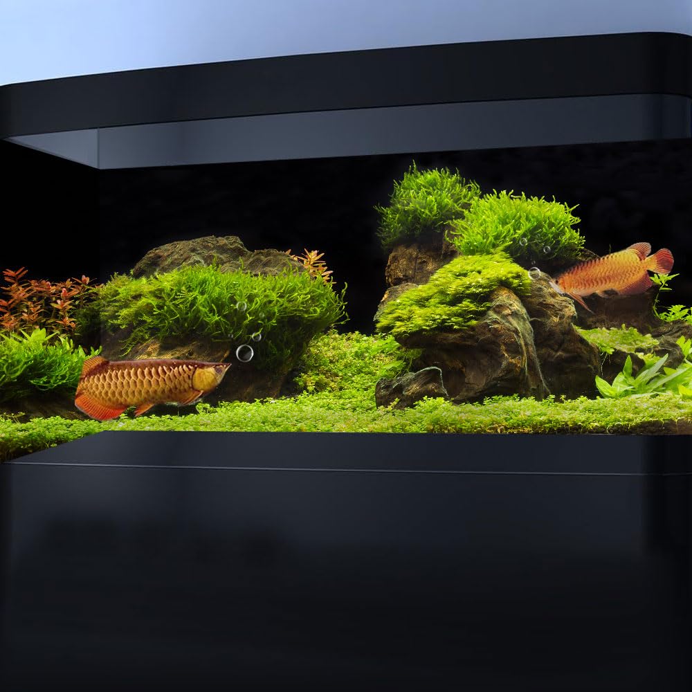 60x24 Inches Fish Tank Background - Black River Bed & Lake Aquatic Plant Terrarium Decor | Durable Polyester Aquarium Backdrop with Moss Grass Landscape & 8 EVA Double-Sided Tapes | Perfect for Freshwater & Saltwater Aquariums, Reptile Tanks & Terrariums