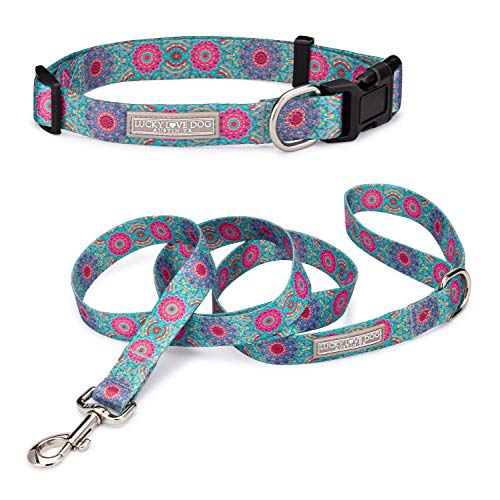 Clara Collar/Leash Combo