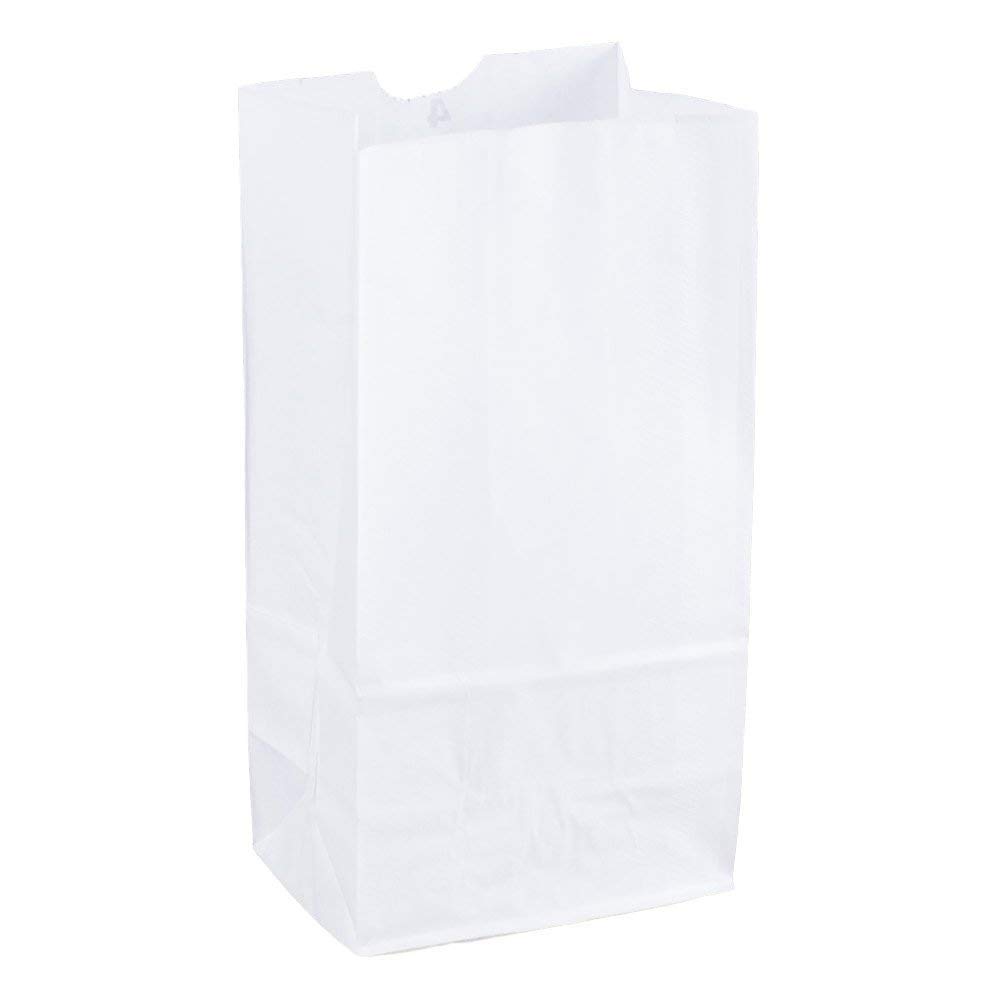 Perfect Stix - 100ct Kraft White Paper Bags (6lb Capacity) | Eco-Friendly Shopping Bags for Retail, Grocery & Takeout | Bulk Pack of 100 White Paper Bags for Small Businesses & Restaurants