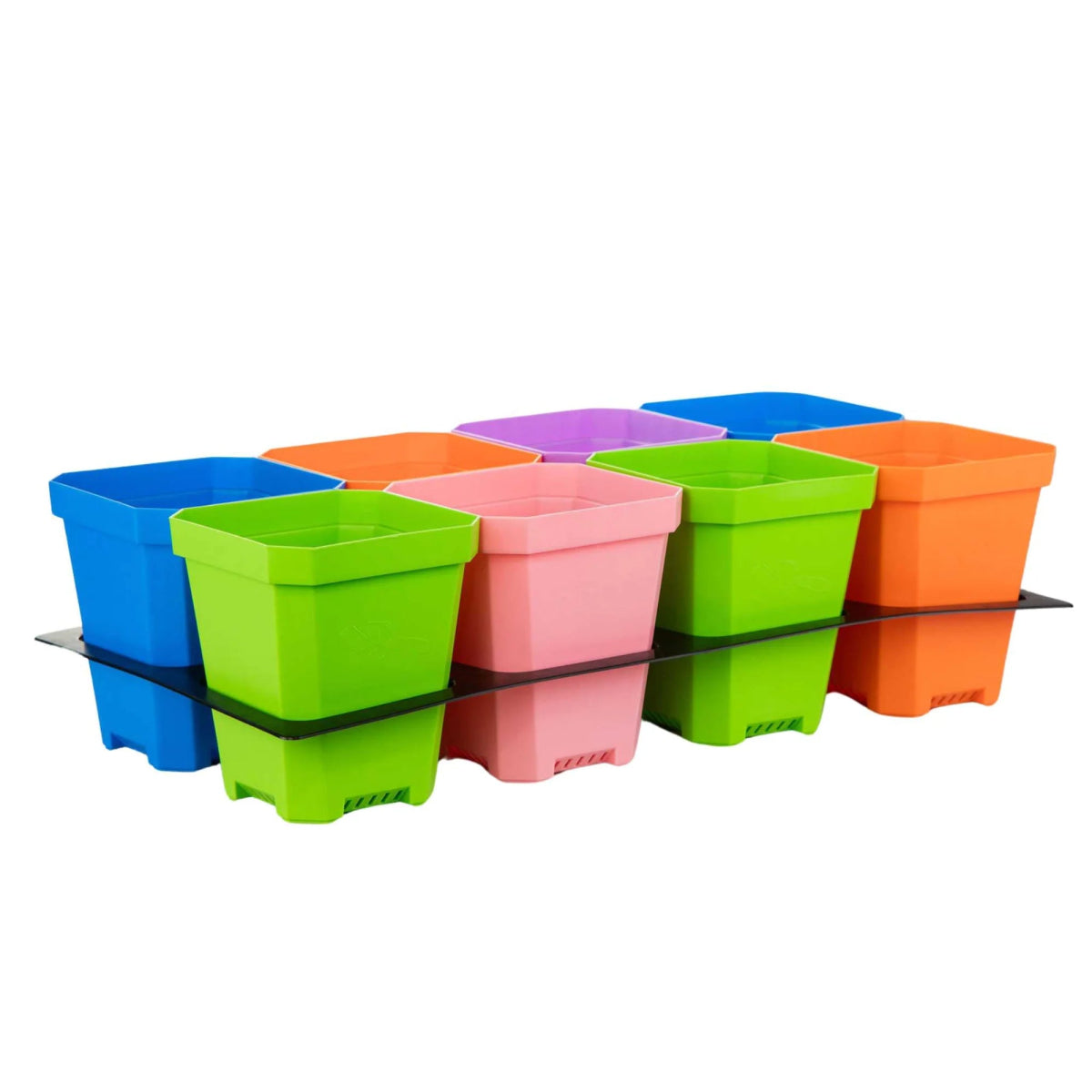 Multi-Colour