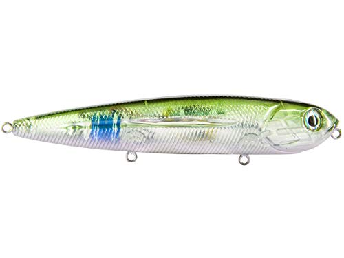 Green Ghost Shiner