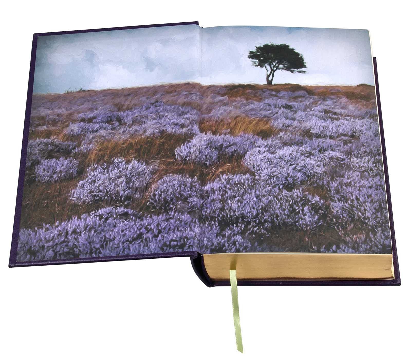 Bronte Sisters Leather-Bound Classics Collection - Wuthering Heights, Jane Eyre & More | Perfect for Book Lovers, Literary Gifts & Home Library Decor