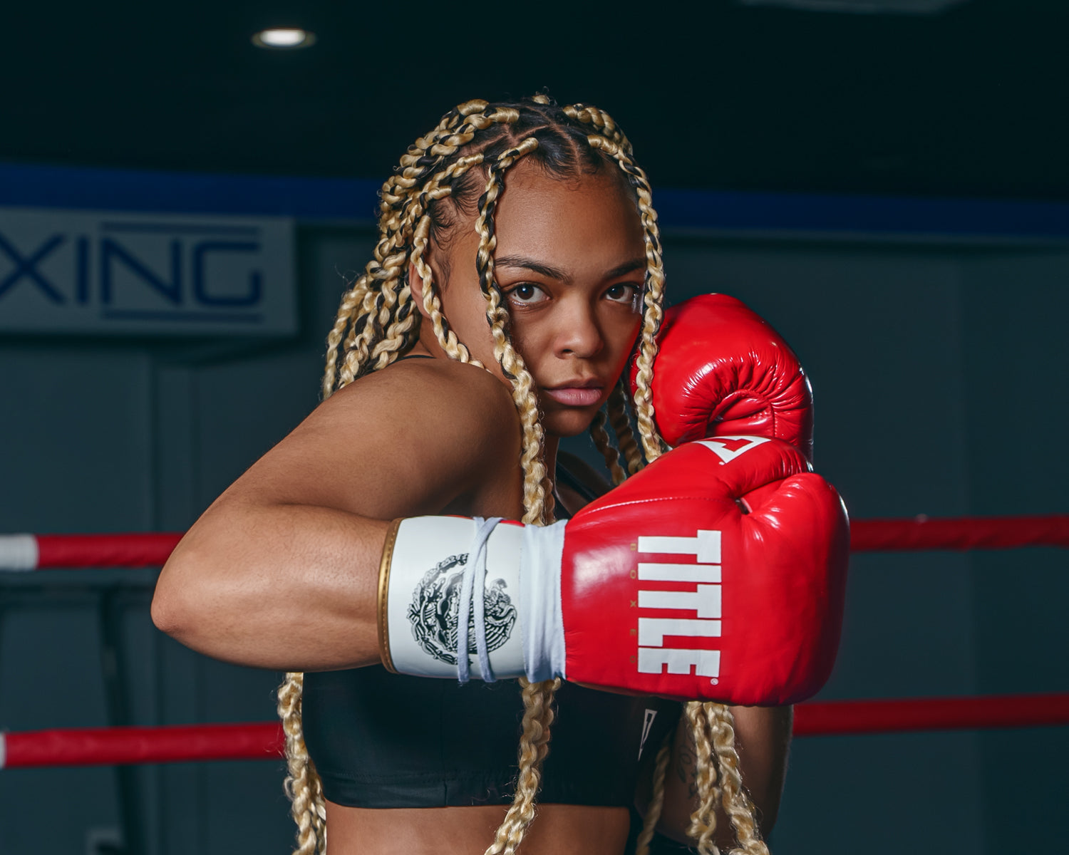 Boxeo Pro Fight Boxing Gloves - Premium Training & Sparring Gloves for Men & Women - Ideal for MMA, Kickboxing, and Fitness Workouts